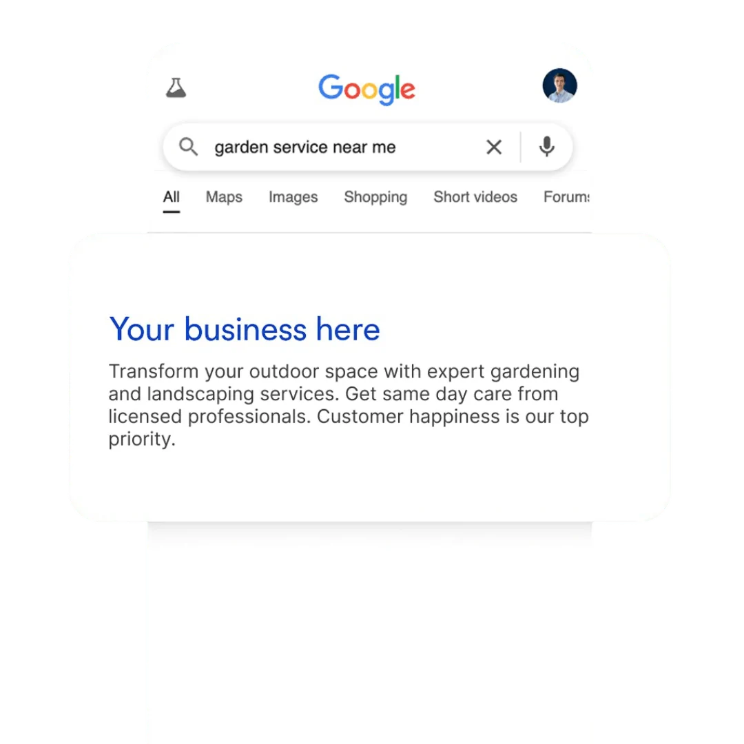 webluno seo packages